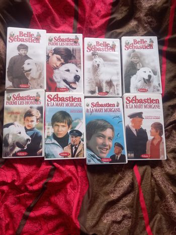 8 VHS Belle et Sébastien 