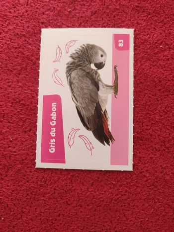 Carte nos amies les bêtes