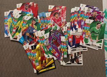 Carte adrenalyn 2024/2025