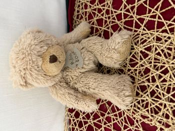 Doudou peluche ours beige HISTOIRE D'OURS