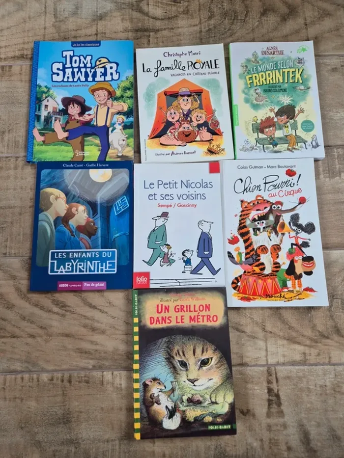 Lot de premiers romans dès 8 ans