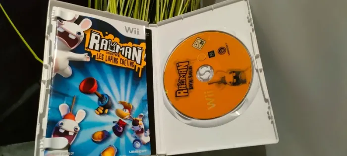 Jeu Rayman contre les lapins cretins - photo numéro 3