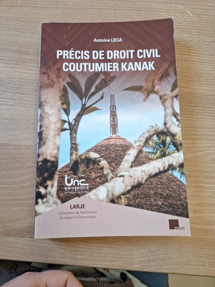 Précis de droit civil coutumier kank