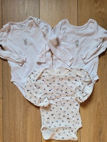 Lot 3 bodies 18 mois bon état manches longues