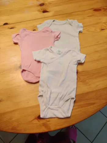 Lot bodies