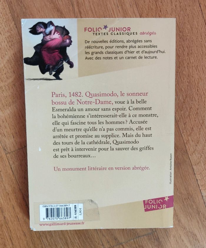 Livre Notre-Dame de Paris - Victor Hugo - photo numéro 2