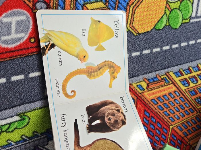 Imagier anglais - photo numéro 5