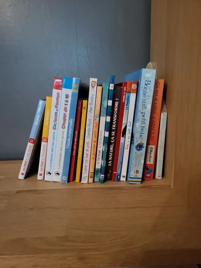 Lot 18 livres enfants