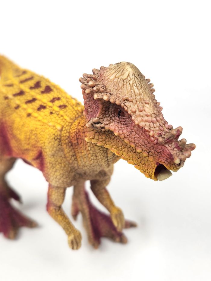 Figurine Dinosaure Schleich - Pachycéphalosaure - photo numéro 5