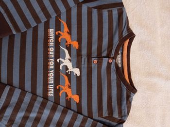 Collection  .U taille 6 ans pull manches longues rayé bleu rayé gris clair voir photos avec motif trois dinosaures