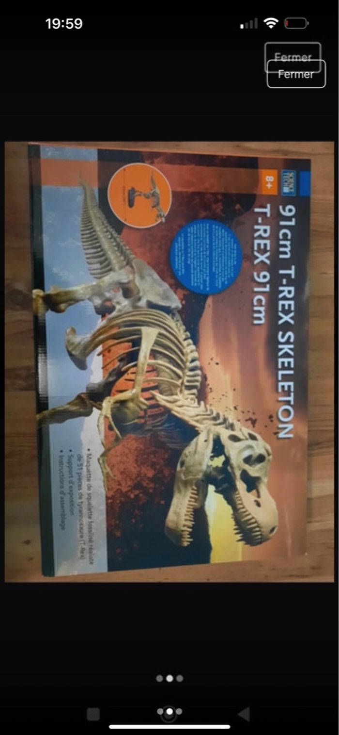 Squelette dinosaure T-REX