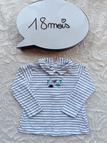 Tee shirt chemise manches longues Garçon 18 mois joli col l'île aux dinosaures Bout'chou 100% coton