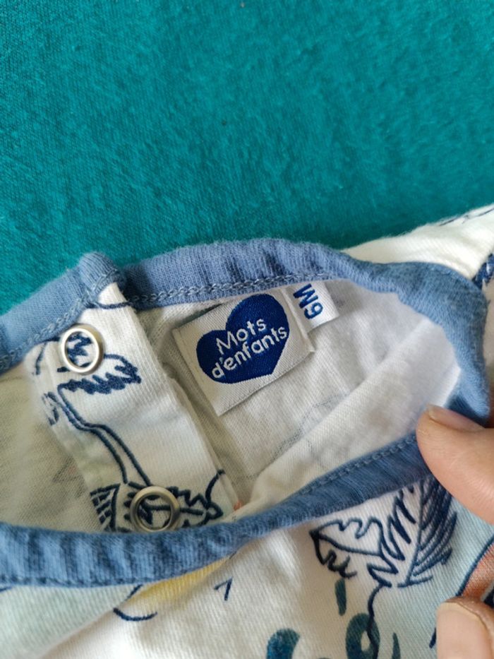 Barboteuse - photo numéro 4