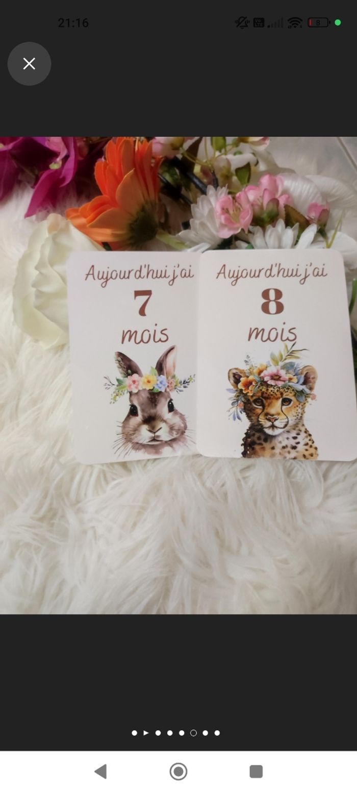 Carte étape bébé - photo numéro 5