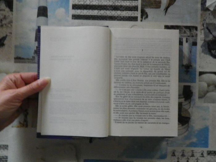 Sur la route de Tara de Maeve Binchy Ed. France Loisirs - photo numéro 4