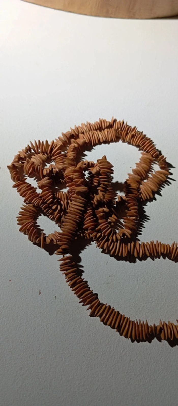 Collier sautoir en graines de citrouille - photo numéro 4