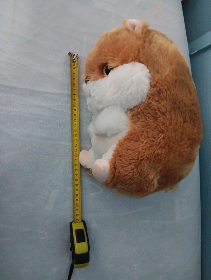 Hamster - photo numéro 4