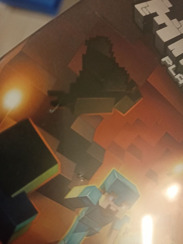 PS4 minecraft - photo numéro 5