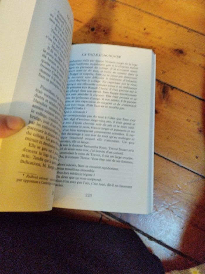 La toile d'araignée - photo numéro 3