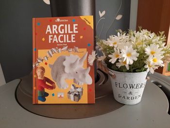 Livre Argile Facile Junior