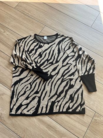 Pull zébré