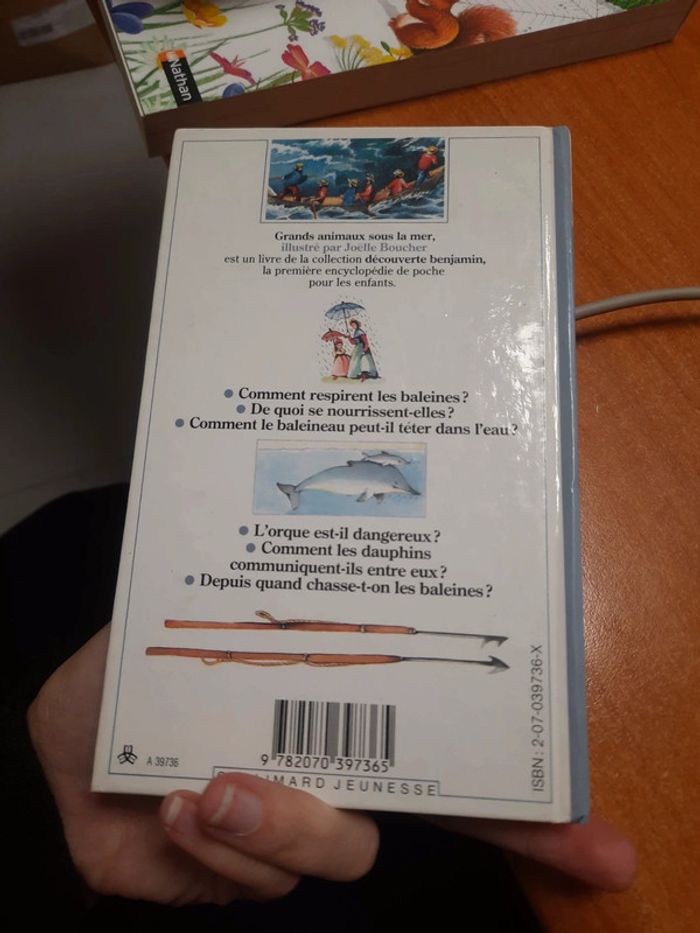 Livre découverte Benjamin - photo numéro 6