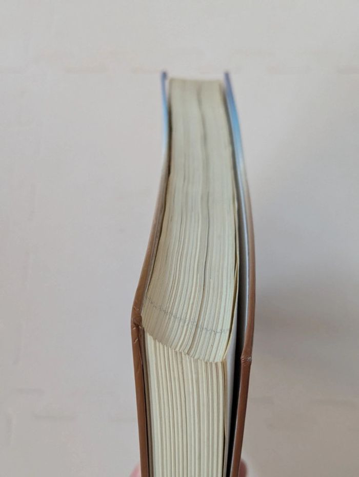 Lot 4 livres Itinéraires Littéraires Hatier – du Moyen Âge au XIXe siècle - photo numéro 5