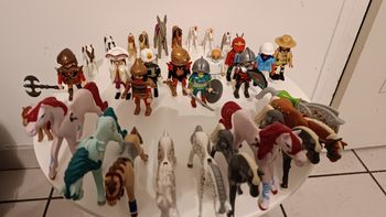 Playmobil figurines et chevaux