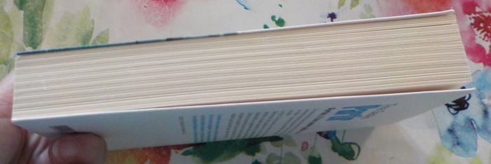 PARTIR de Tina SESKIS Ed. du Cherche-Midi - photo numéro 5