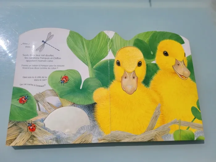 Rare, Superbe livre grand format à toucher 🐢 La vie dans la rivière 🐟 - photo numéro 11