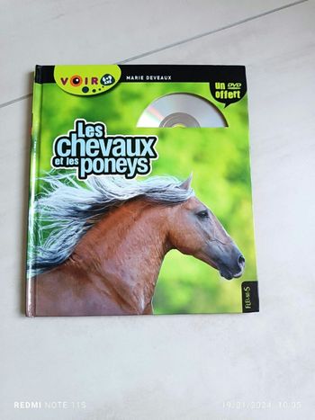 Les chevaux et les poneys