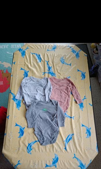 Lot 3 Bodies 6 mois