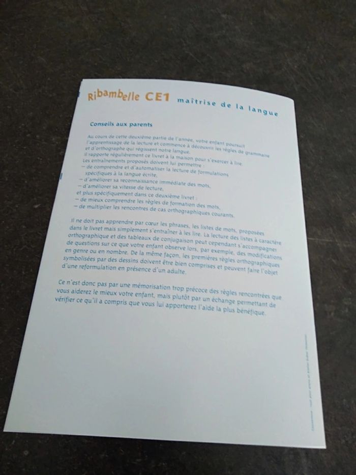Lot de 2 livres Ribambelle CE1 - photo numéro 16