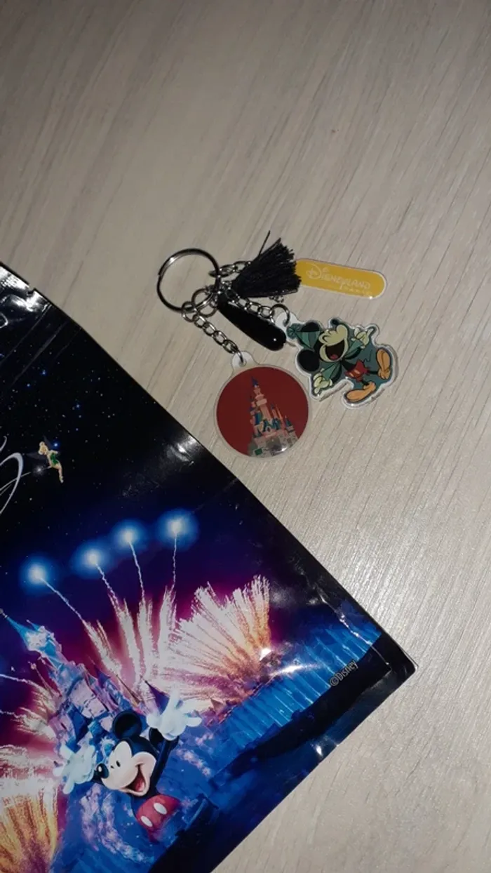 Lot puzzle et porte clef Disneyland Paris - photo numéro 2
