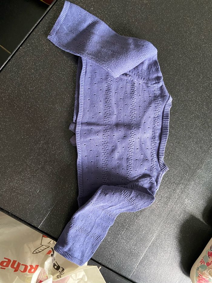 Gilet bleu - photo numéro 2