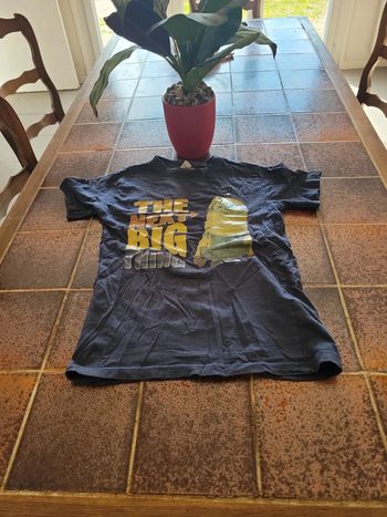 Tee shirt manches courtes minions