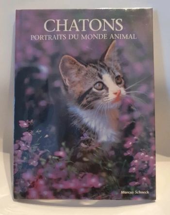 Chatons, portraits du monde animal