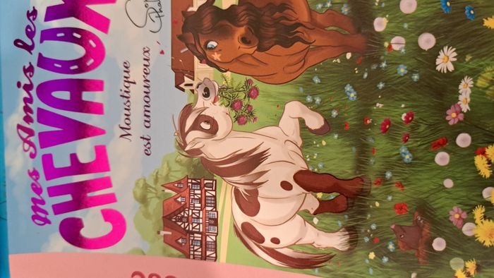 lot de deux livres - photo numéro 4