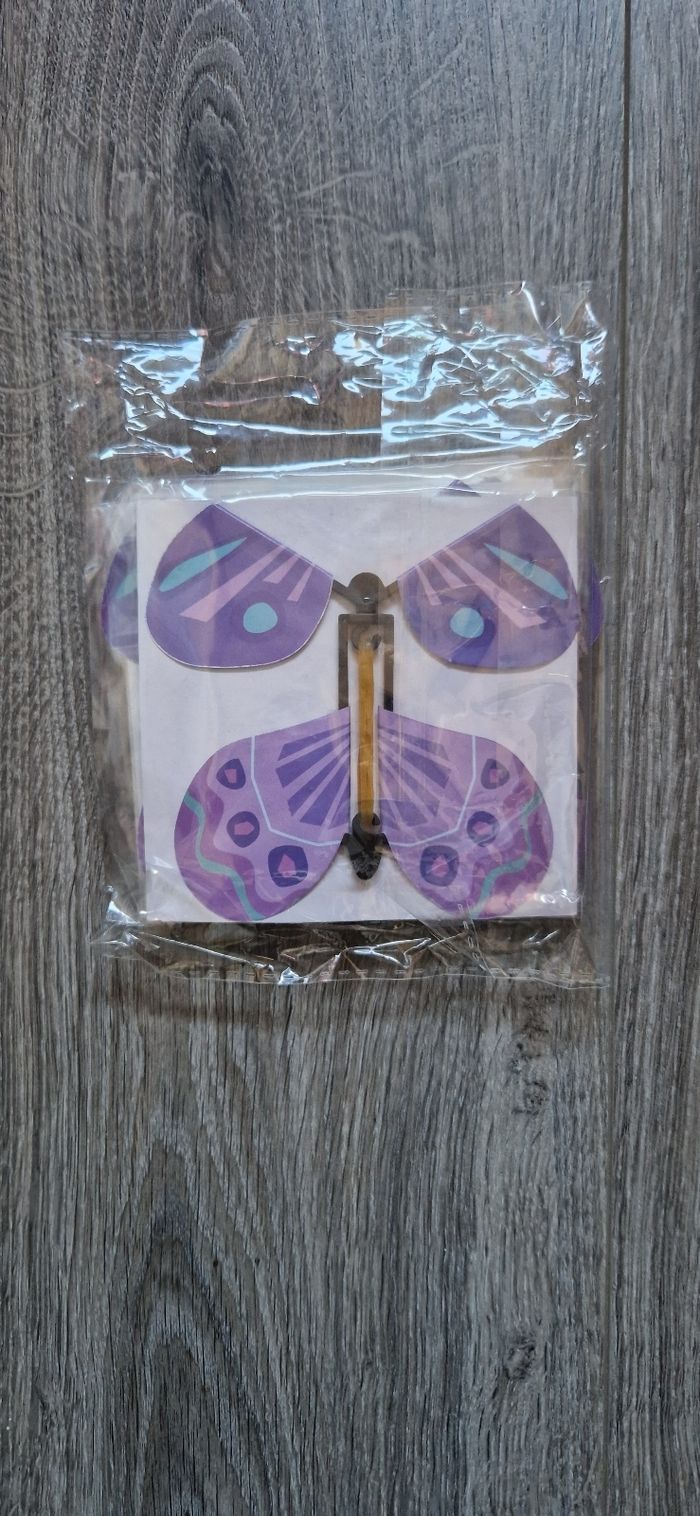 Papillons volant - photo numéro 5
