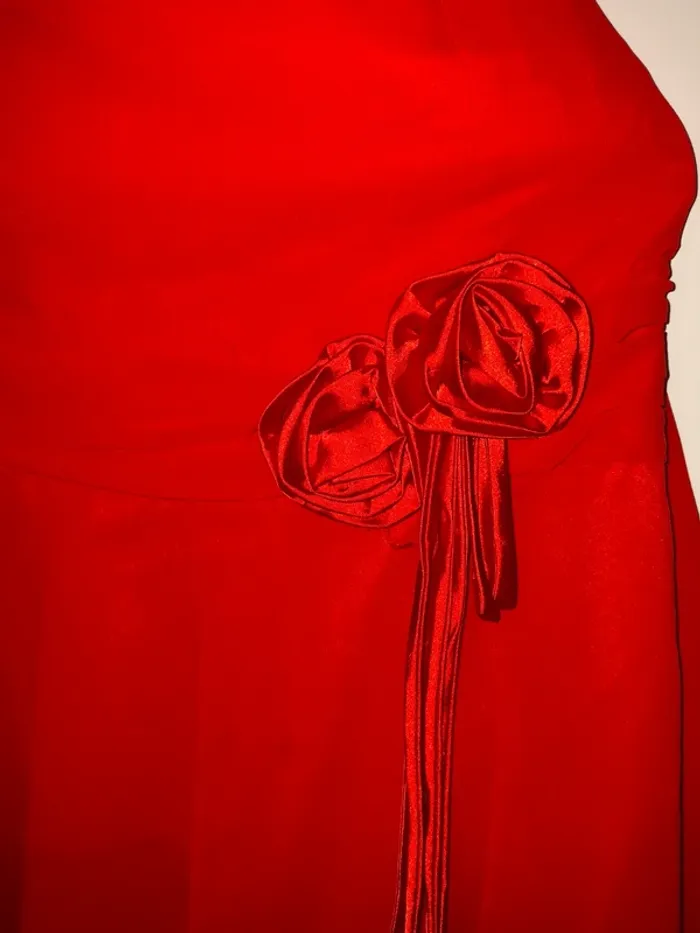 Robe bustier rouge Sonia pena très bon état taille 40 - photo numéro 2