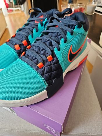🔥Nike Lebron Witness VIII T.45🏀