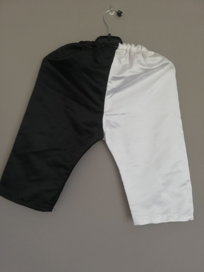 Pantalon - photo numéro 2