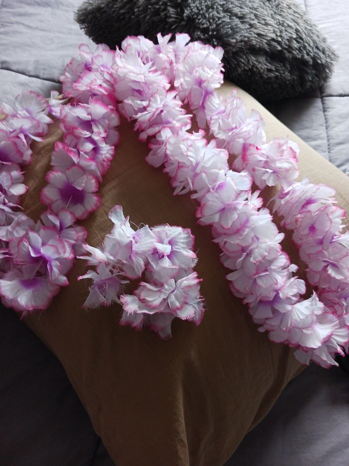 Déguisements - photo numéro 3