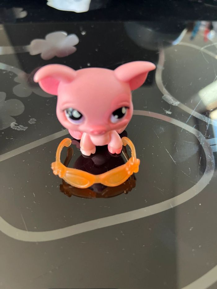 Petshop