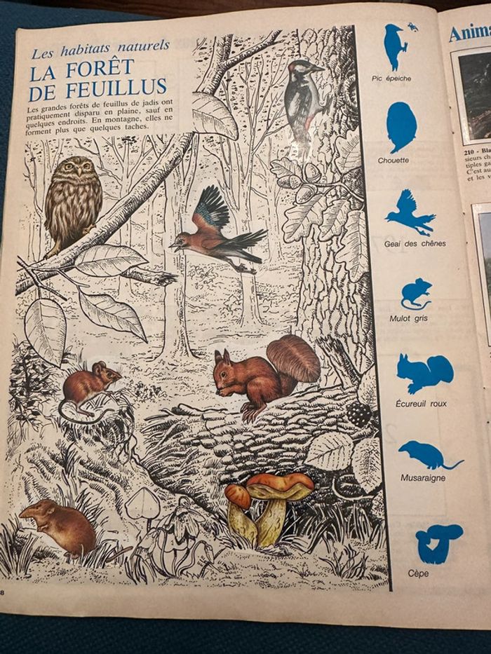 Album Panini complet WWF Nature en danger fonds mondial pour la nature stickers autocollants livre - photo numéro 9