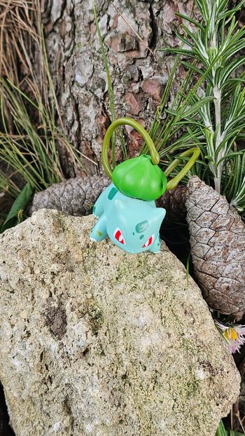 Super figurine Pokemon nintendo Bulbizarre 