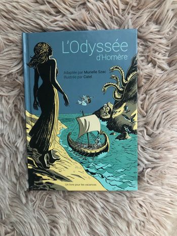 Livre L Odyssée d Homère