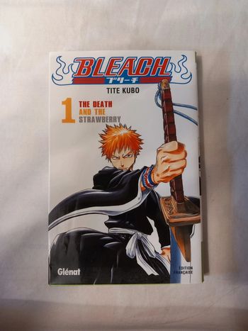 Bleach Tome 1