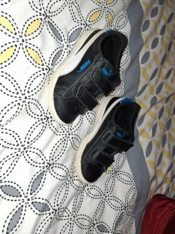 Basket puma 29