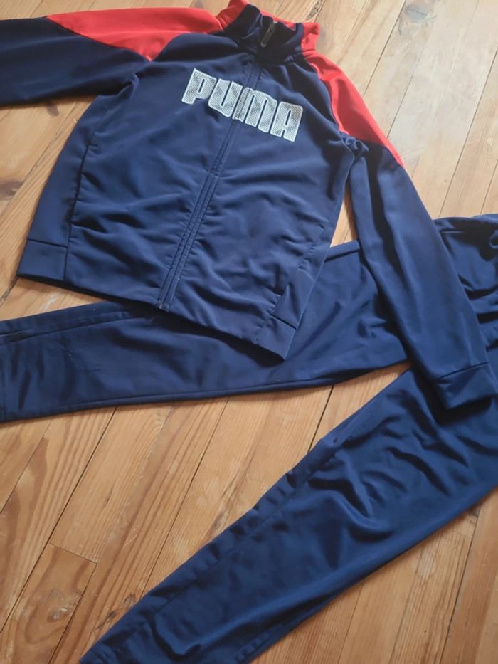 Ensemble puma